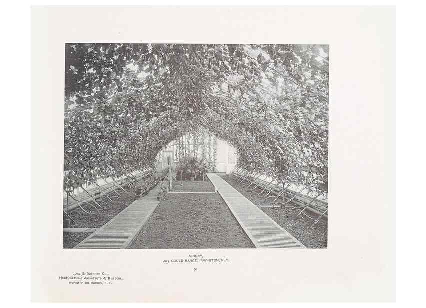 Reproducción/Reproduction 48859914273: Catalogue of greenhouses /. Irvington, N.Y. :The Company,c1903.. 