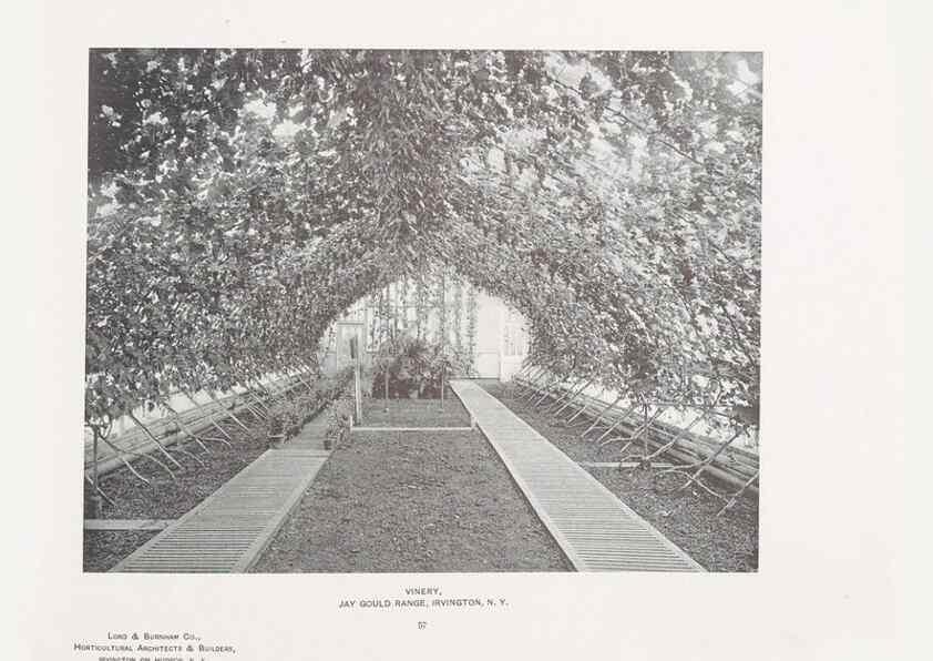 Reproducción/Reproduction 48859914273: Catalogue of greenhouses /. Irvington, N.Y. :The Company,c1903.. 