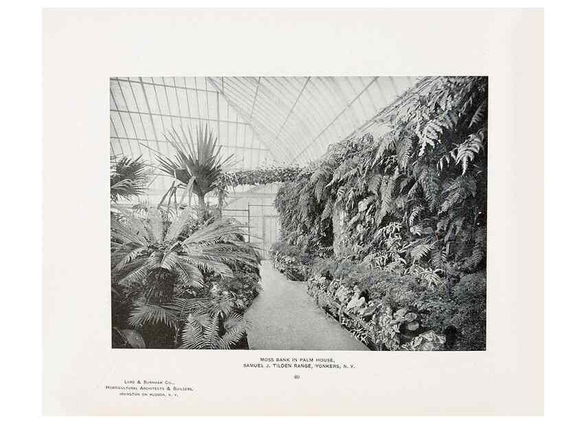 Reproducción/Reproduction 48859915413: Catalogue of greenhouses /. Irvington, N.Y. :The Company,c1903.. 