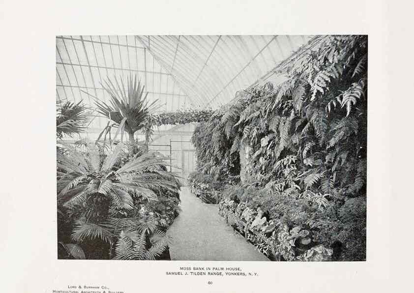 Reproducción/Reproduction 48859915413: Catalogue of greenhouses /. Irvington, N.Y. :The Company,c1903.. 