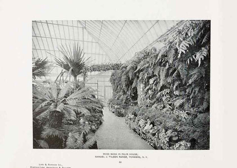 Reproducción/Reproduction 48859915413: Catalogue of greenhouses /. Irvington, N.Y. :The Company,c1903.. 