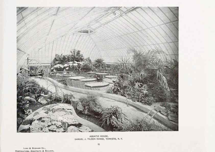 Reproducción/Reproduction 48860269256: Catalogue of greenhouses /. Irvington, N.Y. :The Company,c1903.. 