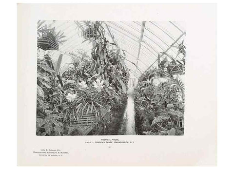 Reproducción/Reproduction 48859911803: Catalogue of greenhouses /. Irvington, N.Y. :The Company,c1903.. 