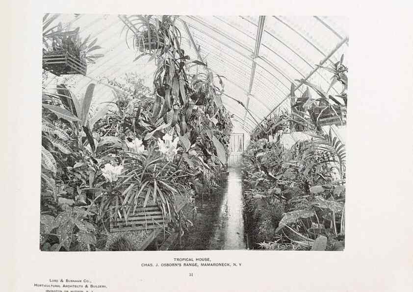 Reproducción/Reproduction 48859911803: Catalogue of greenhouses /. Irvington, N.Y. :The Company,c1903.. 