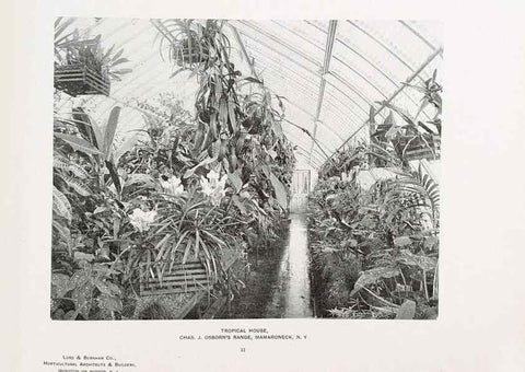 Reproducción/Reproduction 48859911803: Catalogue of greenhouses /. Irvington, N.Y. :The Company,c1903.. 