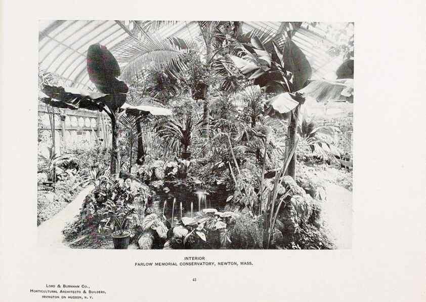 Reproducción/Reproduction 48860455672: Catalogue of greenhouses /. Irvington, N.Y. :The Company,c1903.. 