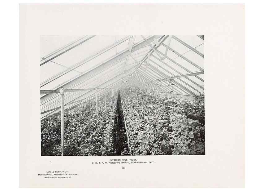 Reproducción/Reproduction 48860452527: Catalogue of greenhouses /. Irvington, N.Y. :The Company,c1903.. 