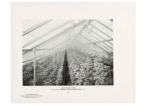 Reproducción/Reproduction 48860452527: Catalogue of greenhouses /. Irvington, N.Y. :The Company,c1903.. 