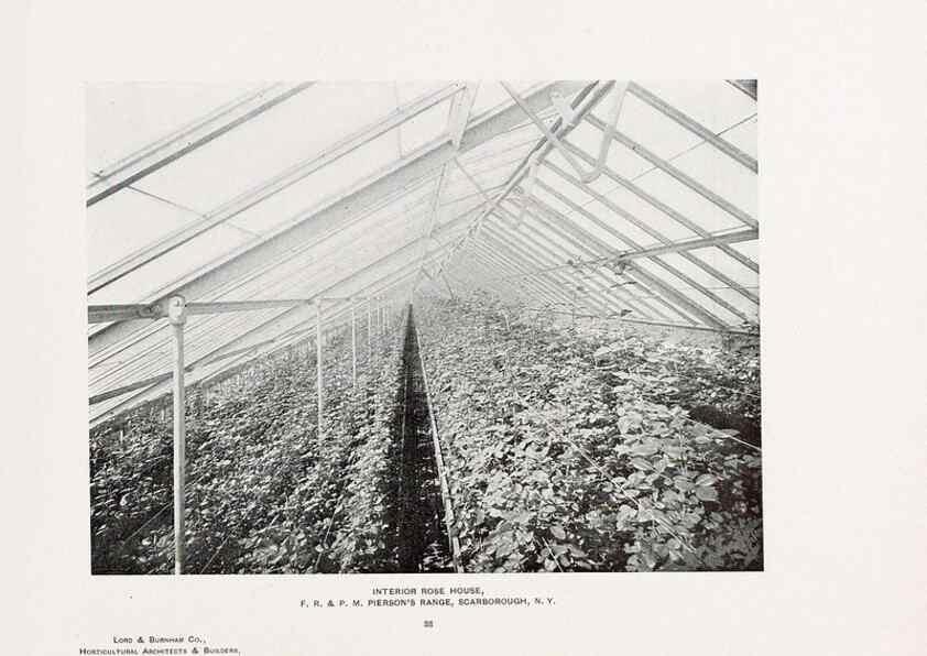 Reproducción/Reproduction 48860452527: Catalogue of greenhouses /. Irvington, N.Y. :The Company,c1903.. 