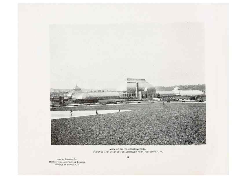 Reproducción/Reproduction 48860262356: Catalogue of greenhouses /. Irvington, N.Y. :The Company,c1903.. 