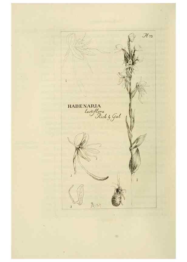 Reproducción/Reproduction 48870366863: Orchidaceae:. Boston,Houghton, Mifflin,1905-22.. 