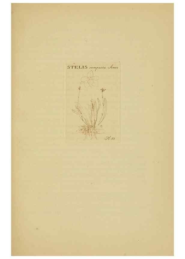 Reproducción/Reproduction 48870774437: Orchidaceae:. Boston,Houghton, Mifflin,1905-22.. 