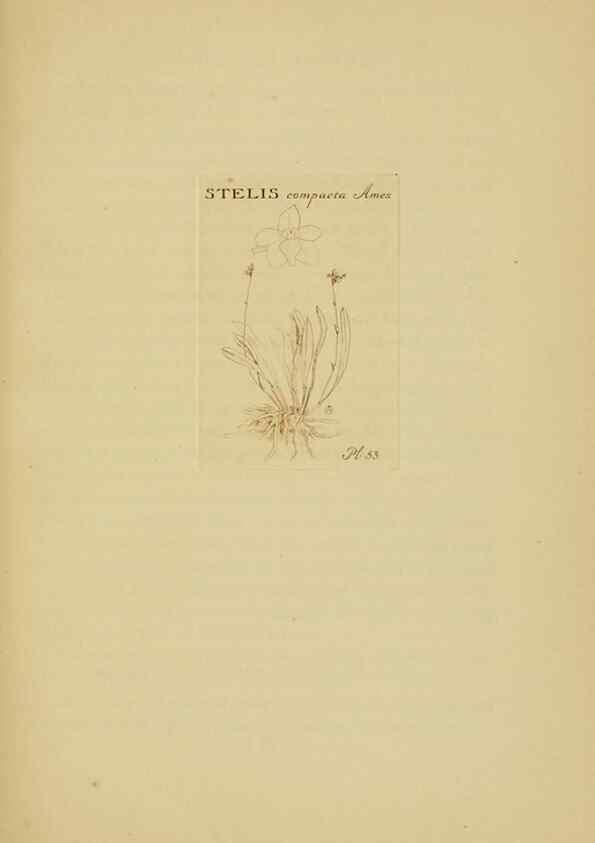 Reproducción/Reproduction 48870774437: Orchidaceae:. Boston,Houghton, Mifflin,1905-22.. 