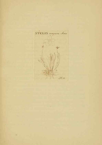 Reproducción/Reproduction 48870774437: Orchidaceae:. Boston,Houghton, Mifflin,1905-22.. 