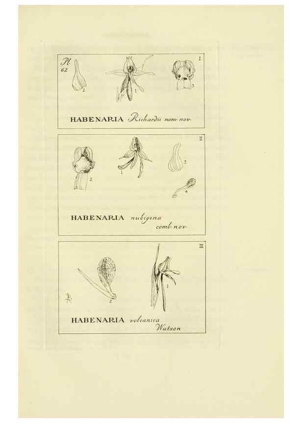 Reproducción/Reproduction 48870888766: Orchidaceae:. Boston,Houghton, Mifflin,1905-22.. 