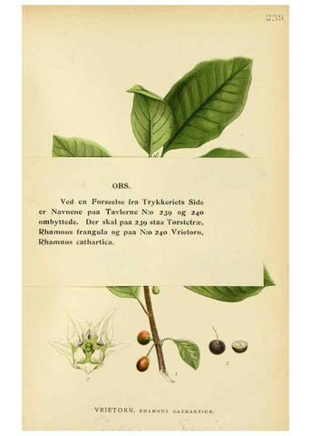 Reproducción/Reproduction 49157260323: Billeder af Nordens flora,. København,G.E.C. Gad,1901-1903 [i.e. 1907]. 
