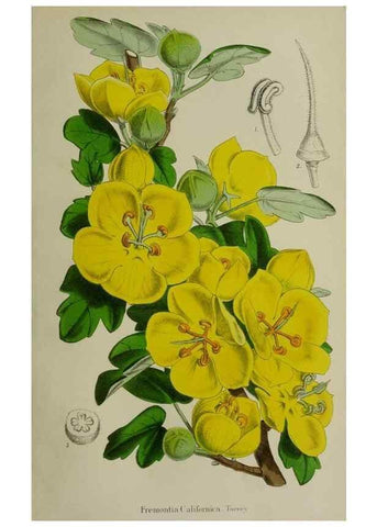 Reproducción/Reproduction 49167715193: Belgique horticole.. Liége.. 