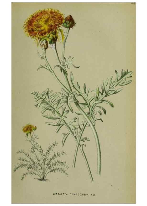 Reproducción/Reproduction 49164220918: Belgique horticole.. Liége.. 