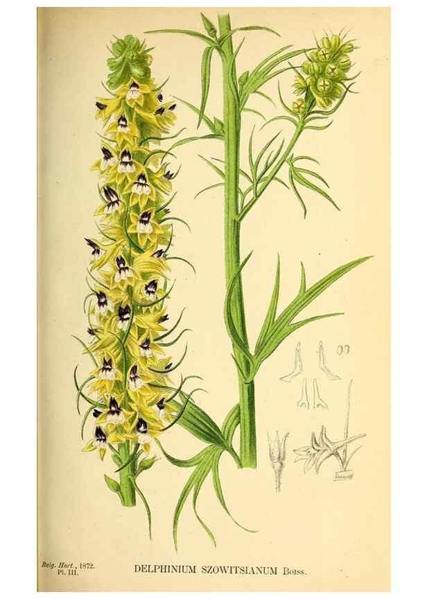 Reproducción/Reproduction 49163417218: Belgique horticole.. Liége.. 