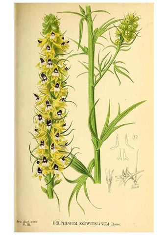 Reproducción/Reproduction 49163417218: Belgique horticole.. Liége.. 