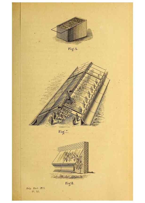 Reproducción/Reproduction 49163707472: Belgique horticole.. Liége.. 