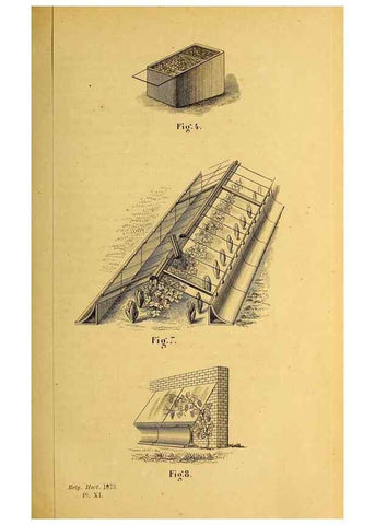 Reproducción/Reproduction 49163707472: Belgique horticole.. Liége.. 