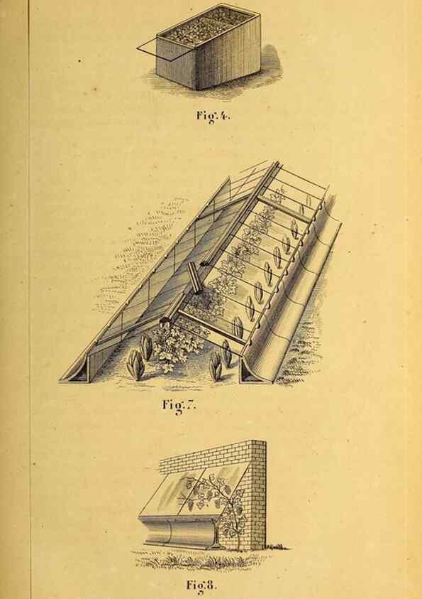 Reproducción/Reproduction 49163707472: Belgique horticole.. Liége.. 