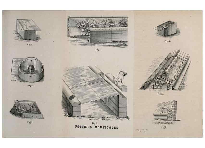 Reproducción/Reproduction 49163470056: Belgique horticole.. Liége.. 