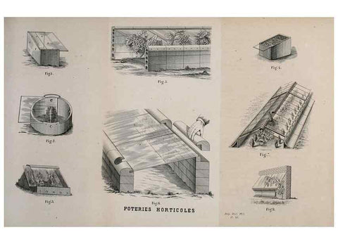 Reproducción/Reproduction 49163470056: Belgique horticole.. Liége.. 