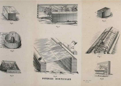 Reproducción/Reproduction 49163470056: Belgique horticole.. Liége.. 