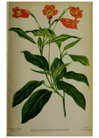 Reproducción/Reproduction 49132637372: Belgique horticole.. Liége.. 