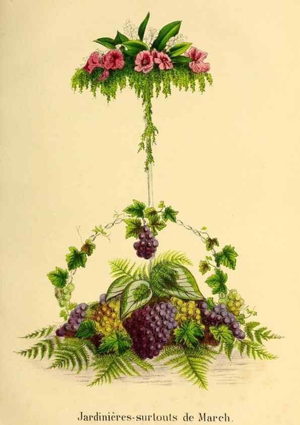 Reproducción/Reproduction 49203535696: Belgique horticole.. Liége.. 
