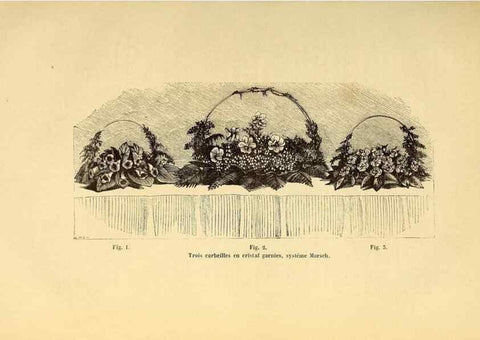 Reproducción/Reproduction 49203535981: Belgique horticole.. Liége.. 