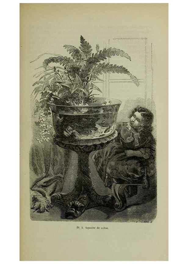 Reproducción/Reproduction 49203475073: Belgique horticole.. Liége.. 