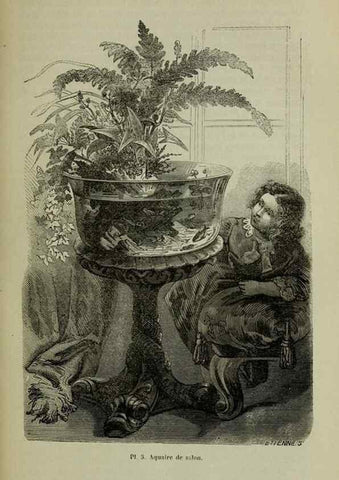 Reproducción/Reproduction 49203475073: Belgique horticole.. Liége.. 
