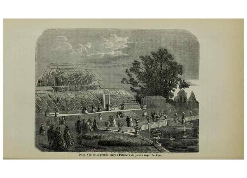 Reproducción/Reproduction 49203963511: Belgique horticole.. Liége.. 