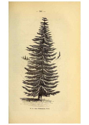 Reproducción/Reproduction 49228857257: Belgique horticole.. Liége.. 