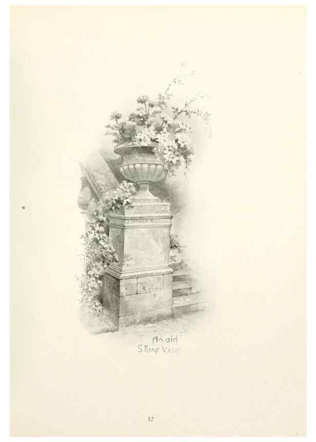 Reproducción/Reproduction 49233513442: Flower pictures,. London,[Printed by R. R. Clark,1914?]. 