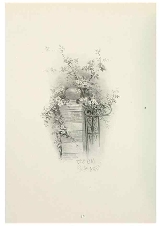 Reproducción/Reproduction 49233513707: Flower pictures,. London,[Printed by R. R. Clark,1914?]. 