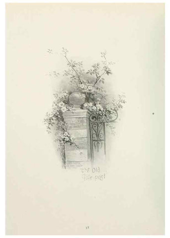 Reproducción/Reproduction 49233513707: Flower pictures,. London,[Printed by R. R. Clark,1914?]. 