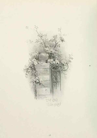 Reproducción/Reproduction 49233513707: Flower pictures,. London,[Printed by R. R. Clark,1914?]. 