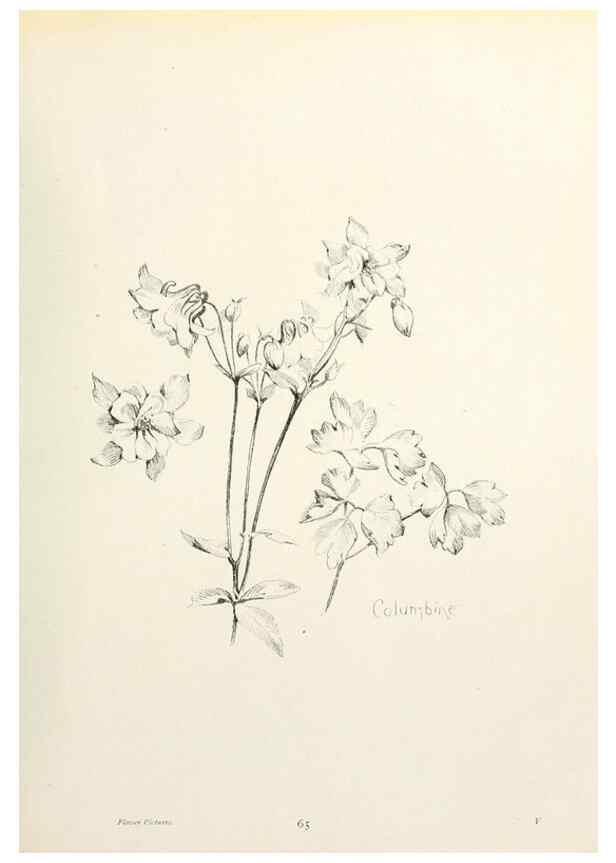 Reproducción/Reproduction 49232827448: Flower pictures,. London,[Printed by R. R. Clark,1914?]. 
