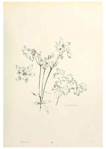 Reproducción/Reproduction 49232827448: Flower pictures,. London,[Printed by R. R. Clark,1914?]. 