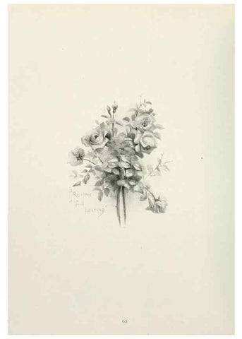 Reproducción/Reproduction 49232827748: Flower pictures,. London,[Printed by R. R. Clark,1914?]. 