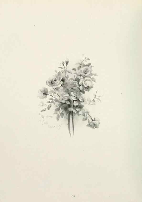 Reproducción/Reproduction 49232827748: Flower pictures,. London,[Printed by R. R. Clark,1914?]. 