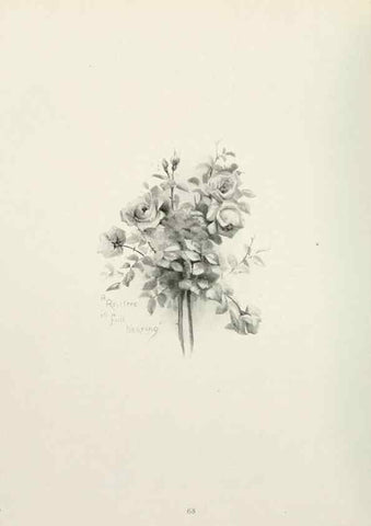 Reproducción/Reproduction 49232827748: Flower pictures,. London,[Printed by R. R. Clark,1914?]. 