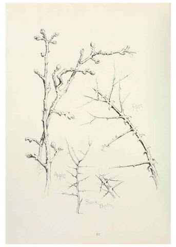 Reproducción/Reproduction 49233292816: Flower pictures,. London,[Printed by R. R. Clark,1914?]. 