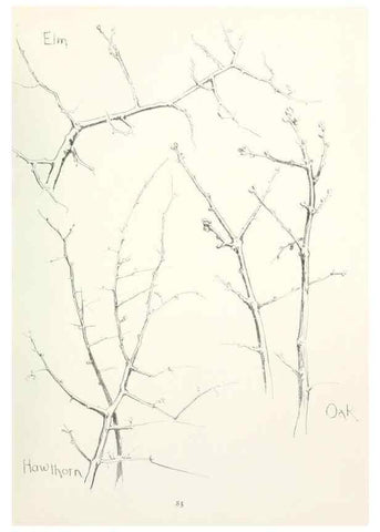 Reproducción/Reproduction 49233515712: Flower pictures,. London,[Printed by R. R. Clark,1914?]. 