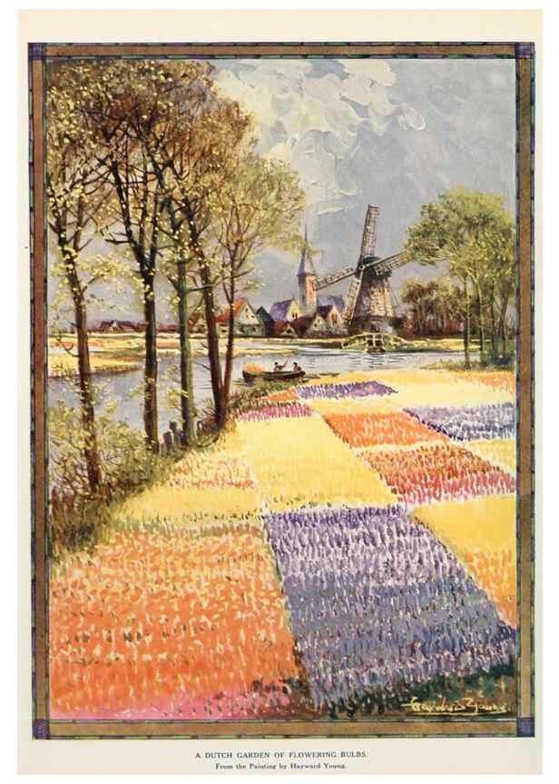 Reproducción/Reproduction 49232826053: Flower pictures,. London,[Printed by R. R. Clark,1914?]. 