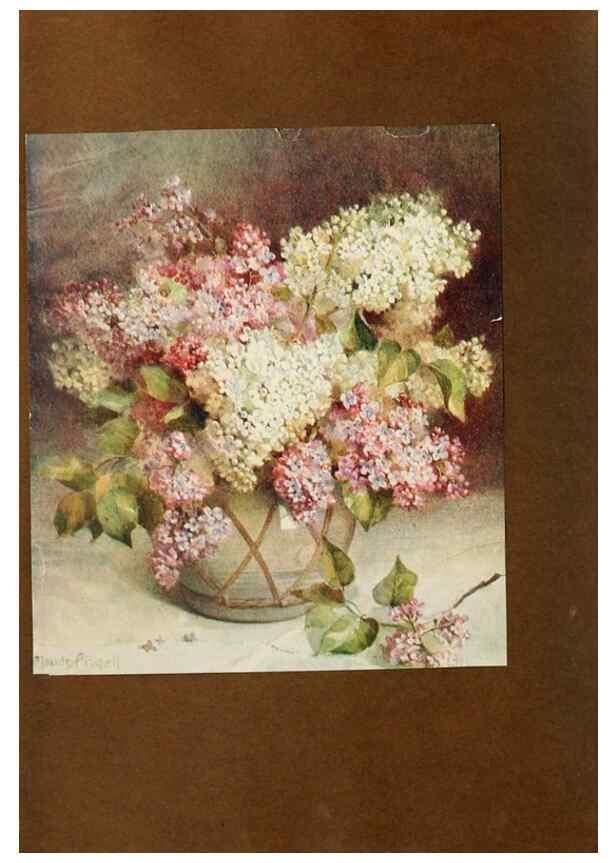 Reproducción/Reproduction 49232821543: Flower pictures,. London,[Printed by R. R. Clark,1914?]. 